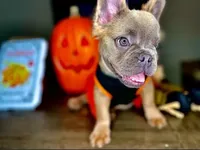 processed/68c5a196-6732-4225-95b3-19ad0ee60d71/facility/ba6138c3-0448-4552-9b06-3e15c4593712