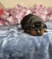 processed/68c5a196-6732-4225-95b3-19ad0ee60d71/listing/04007b6c-3587-482e-b955-e9dbdbc59196/40b855c6-900a-4330-8e67-e99c9bb093e1