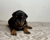 processed/68c5a196-6732-4225-95b3-19ad0ee60d71/listing/04007b6c-3587-482e-b955-e9dbdbc59196/d2285f1b-4c52-4a86-832d-a21def1e9c6b