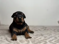 processed/68c5a196-6732-4225-95b3-19ad0ee60d71/listing/04007b6c-3587-482e-b955-e9dbdbc59196/feb13e4f-bad3-4f3f-a94b-27ffe8ad7e03