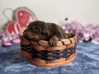 processed/68c5a196-6732-4225-95b3-19ad0ee60d71/listing/37858a49-1411-4e88-b03f-5ab4e60ce79d/590f7263-ca57-462b-be60-2a3e38769cc0