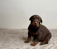 processed/68c5a196-6732-4225-95b3-19ad0ee60d71/listing/37858a49-1411-4e88-b03f-5ab4e60ce79d/a99e69b7-e51e-45bc-83d9-9740506723d5