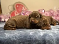 processed/68c5a196-6732-4225-95b3-19ad0ee60d71/listing/37858a49-1411-4e88-b03f-5ab4e60ce79d/b70d791b-134d-46a5-8648-0afe159be845