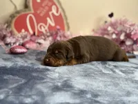 processed/68c5a196-6732-4225-95b3-19ad0ee60d71/listing/37858a49-1411-4e88-b03f-5ab4e60ce79d/ed2cc82d-b7fb-4313-91cc-392d1e42e189