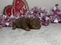 processed/68c5a196-6732-4225-95b3-19ad0ee60d71/listing/77fb71ff-5b6d-44d6-a63b-c73507f456cf/2bb352f6-9cc2-47f5-a848-68e4a00b2233