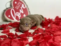 processed/68c5a196-6732-4225-95b3-19ad0ee60d71/listing/77fb71ff-5b6d-44d6-a63b-c73507f456cf/8cdf0f0b-3942-4fe4-8d36-a466d2e41edb