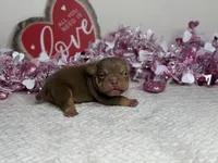 processed/68c5a196-6732-4225-95b3-19ad0ee60d71/listing/77fb71ff-5b6d-44d6-a63b-c73507f456cf/95ed5026-9c7b-4e67-a900-ce67fb0b6931