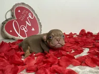 processed/68c5a196-6732-4225-95b3-19ad0ee60d71/listing/77fb71ff-5b6d-44d6-a63b-c73507f456cf/cd8573c7-88ef-4f6b-a155-78212de14e77