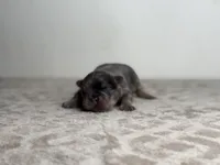 processed/68c5a196-6732-4225-95b3-19ad0ee60d71/listing/92ad02ab-94fa-4cf9-be0e-c4c24e59596f/1bb5f69d-88ac-4660-92d7-f765709a528b