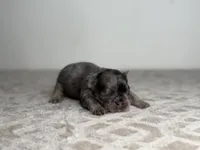 processed/68c5a196-6732-4225-95b3-19ad0ee60d71/listing/92ad02ab-94fa-4cf9-be0e-c4c24e59596f/ff8b5e4f-d167-436e-92a7-a893e95bf9cd