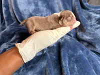 processed/68c5a196-6732-4225-95b3-19ad0ee60d71/listing/bab89f14-81ca-4650-91d2-52a109a3374c/4f63397a-7373-4f77-a100-01f402868815