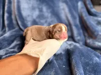 processed/68c5a196-6732-4225-95b3-19ad0ee60d71/listing/bab89f14-81ca-4650-91d2-52a109a3374c/5aab30ab-ea72-437a-b516-f4e8d617a257