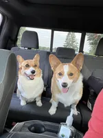 processed/68ca5052-28c9-4ce3-ac9f-cdd1a12f7ca1/facility/07907be3-f080-4edd-b90e-ca78bdee5ca6