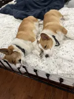 processed/68ca5052-28c9-4ce3-ac9f-cdd1a12f7ca1/facility/083be7fd-20a4-4a28-92dd-4014d896aebe