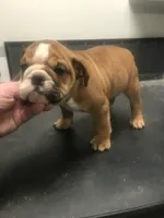 processed/68cfefed-cc85-4ba9-b115-cd17d2dc9f84/listing/58553f45-d534-4b52-a0b5-162ee784d302/27a10845-cb5c-4e52-a9c6-3de7358c2b3f