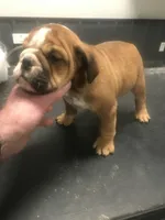 processed/68cfefed-cc85-4ba9-b115-cd17d2dc9f84/listing/58553f45-d534-4b52-a0b5-162ee784d302/35209b0d-1632-40d0-9add-4be2db7f9246