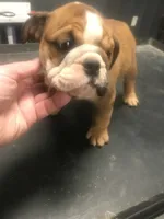 processed/68cfefed-cc85-4ba9-b115-cd17d2dc9f84/listing/58553f45-d534-4b52-a0b5-162ee784d302/8895cd2d-25db-424d-acbf-108c1d880747