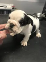 processed/68cfefed-cc85-4ba9-b115-cd17d2dc9f84/listing/829f8cd3-b8bb-4d57-b581-8716007e86b9/a408d58c-a7ca-4054-80e5-b0b1da8e35de