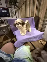 processed/68d007e9-d56d-41d8-9183-6b1902d225e7/listing/35408020-871c-4499-97d6-4488a0435048/ef419c7b-87fc-4208-bdfc-270e5f356741