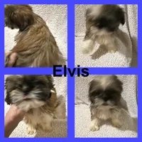 processed/68d007e9-d56d-41d8-9183-6b1902d225e7/listing/9b8f01eb-6e96-47b4-a433-e3da86e847b7/655fa6ac-0830-4ad1-9fc0-3d1adfe2e641