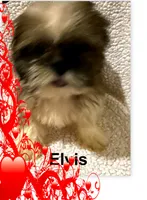 processed/68d007e9-d56d-41d8-9183-6b1902d225e7/listing/9b8f01eb-6e96-47b4-a433-e3da86e847b7/fab878a5-6ed2-4c43-8fed-832a832107d4