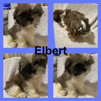 processed/68d007e9-d56d-41d8-9183-6b1902d225e7/listing/b8c725d6-94a0-4061-8e94-001f6af56738/ec5561f6-b7c8-4d52-9f7c-a5c8fb5039aa