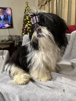 processed/68d007e9-d56d-41d8-9183-6b1902d225e7/listing/dab4b3b1-e981-46fe-8393-dae5318559eb/3d3da8dd-9e05-47dd-a17c-50a660b756d2