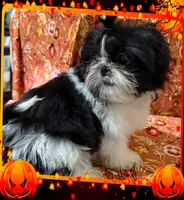 processed/68d007e9-d56d-41d8-9183-6b1902d225e7/listing/dab4b3b1-e981-46fe-8393-dae5318559eb/c588b11d-ce07-4b7f-8e1a-3477c3b523bf