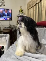 processed/68d007e9-d56d-41d8-9183-6b1902d225e7/listing/dab4b3b1-e981-46fe-8393-dae5318559eb/d871dbc7-36dd-435a-845f-c0b6e568894b