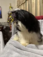 processed/68d007e9-d56d-41d8-9183-6b1902d225e7/listing/dab4b3b1-e981-46fe-8393-dae5318559eb/f3d5359a-a972-47ac-9663-ddbbb4b066ec