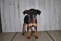 processed/68d5d936-9148-4679-ad59-7483dc7432b0/listing/2b9ac3ee-92fb-4422-b708-d8b041035155/416cd1c7-1e67-4983-9c1a-52448ece84ab