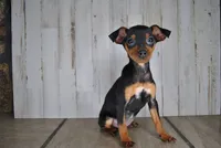 processed/68d5d936-9148-4679-ad59-7483dc7432b0/listing/2b9ac3ee-92fb-4422-b708-d8b041035155/5eb87f5e-fa5d-4e2d-bb75-0d9551cbc1b3