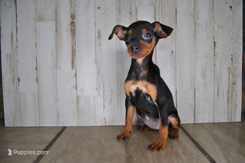 Valentines Special 2