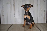 processed/68d5d936-9148-4679-ad59-7483dc7432b0/listing/2b9ac3ee-92fb-4422-b708-d8b041035155/bf5cf240-625f-42b3-940b-a0d4e54055c2