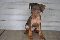 processed/68d5d936-9148-4679-ad59-7483dc7432b0/listing/8da1f2aa-7971-4e89-b2bb-24b234fe53e7/2a727497-f316-4c57-979d-92f89a46b5b6