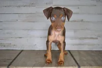 processed/68d5d936-9148-4679-ad59-7483dc7432b0/listing/8da1f2aa-7971-4e89-b2bb-24b234fe53e7/64e89d8d-8e00-49a2-9de0-8b2842f3f383