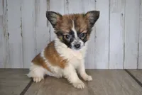 processed/68d5d936-9148-4679-ad59-7483dc7432b0/listing/eef22a76-c893-4980-9472-f55ccf73f1c2/3390a83c-90b5-421d-98fb-288f7b18cb44