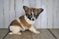 processed/68d5d936-9148-4679-ad59-7483dc7432b0/listing/eef22a76-c893-4980-9472-f55ccf73f1c2/3f9bc5c7-0c8d-443b-95ea-85d25e389f90