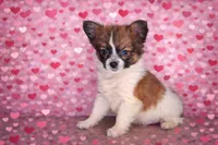 processed/68d5d936-9148-4679-ad59-7483dc7432b0/listing/eef22a76-c893-4980-9472-f55ccf73f1c2/db191f33-c3c6-491f-887c-be0814087f53