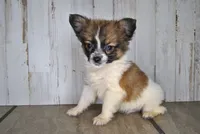 processed/68d5d936-9148-4679-ad59-7483dc7432b0/listing/eef22a76-c893-4980-9472-f55ccf73f1c2/de2ce5db-fe92-4bb3-b804-12bdcd09dbb6