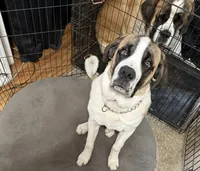 processed/68e23a2c-7429-41e4-a7de-681c86ba8f8f/facility/2a6423bb-044a-4063-985e-610bc17d9491