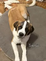 processed/68e23a2c-7429-41e4-a7de-681c86ba8f8f/facility/84298c85-b3c9-4cd7-bef3-50ba9e6dc10d