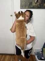 processed/68e23a2c-7429-41e4-a7de-681c86ba8f8f/listing/b716c39c-916a-4955-addd-48c7e7b9b282/a4770caa-efe1-4730-a13a-5223e2d7e132