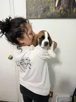 processed/68e23a2c-7429-41e4-a7de-681c86ba8f8f/listing/b716c39c-916a-4955-addd-48c7e7b9b282/b16f27cf-8904-4aaf-acd3-09bc363b73e8