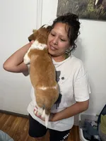 processed/68e23a2c-7429-41e4-a7de-681c86ba8f8f/listing/b716c39c-916a-4955-addd-48c7e7b9b282/c2989ba1-b778-4312-ba4b-acf09007faf2