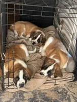 processed/68e23a2c-7429-41e4-a7de-681c86ba8f8f/listing/b716c39c-916a-4955-addd-48c7e7b9b282/f3666c48-ef19-4b5a-9dba-cba9fead5a7a