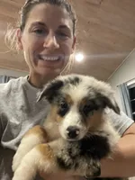 processed/69054d84-3991-436d-98f8-a1c4211a4963/facility/5bf4e614-274e-468d-9ab5-603e14f33827