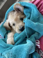 processed/69054d84-3991-436d-98f8-a1c4211a4963/facility/9c845740-1eff-49f3-970e-20f065867641