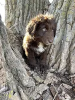 processed/69054d84-3991-436d-98f8-a1c4211a4963/facility/fb9e613e-6f5a-46ee-810d-bf5066060ebd