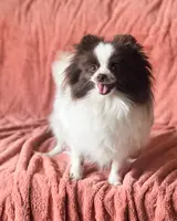 processed/6906a0bb-b37b-47cf-a733-7d9608f0d1f2/listing/4d2ff129-f924-4417-8a58-30d4f4970f2c/1168e780-e619-4974-87a8-23fbe6d2db0b